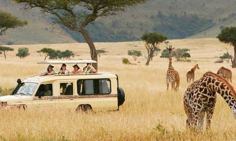 WhyisLakeManyaraNationalParkthetopTanzaniatouristdestinationx